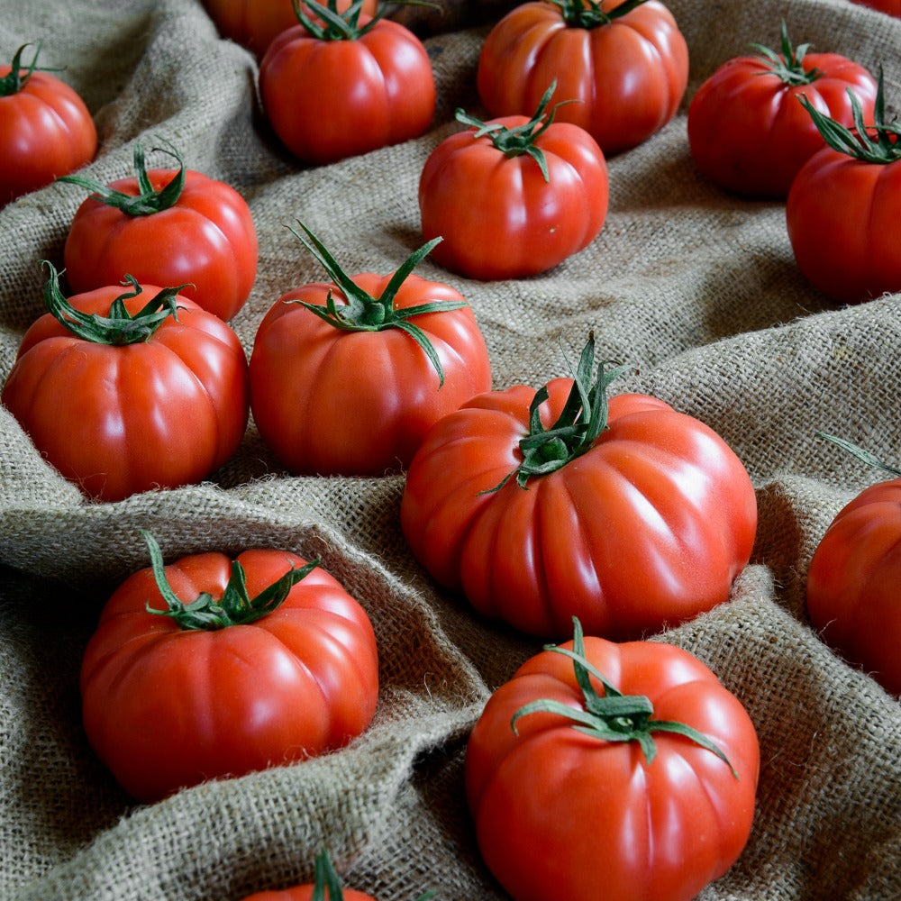 TOMATE MONTEROSA ROSADO CAMPESINO- 500 gr