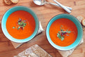SOPA DE TOMATES - 500 mL