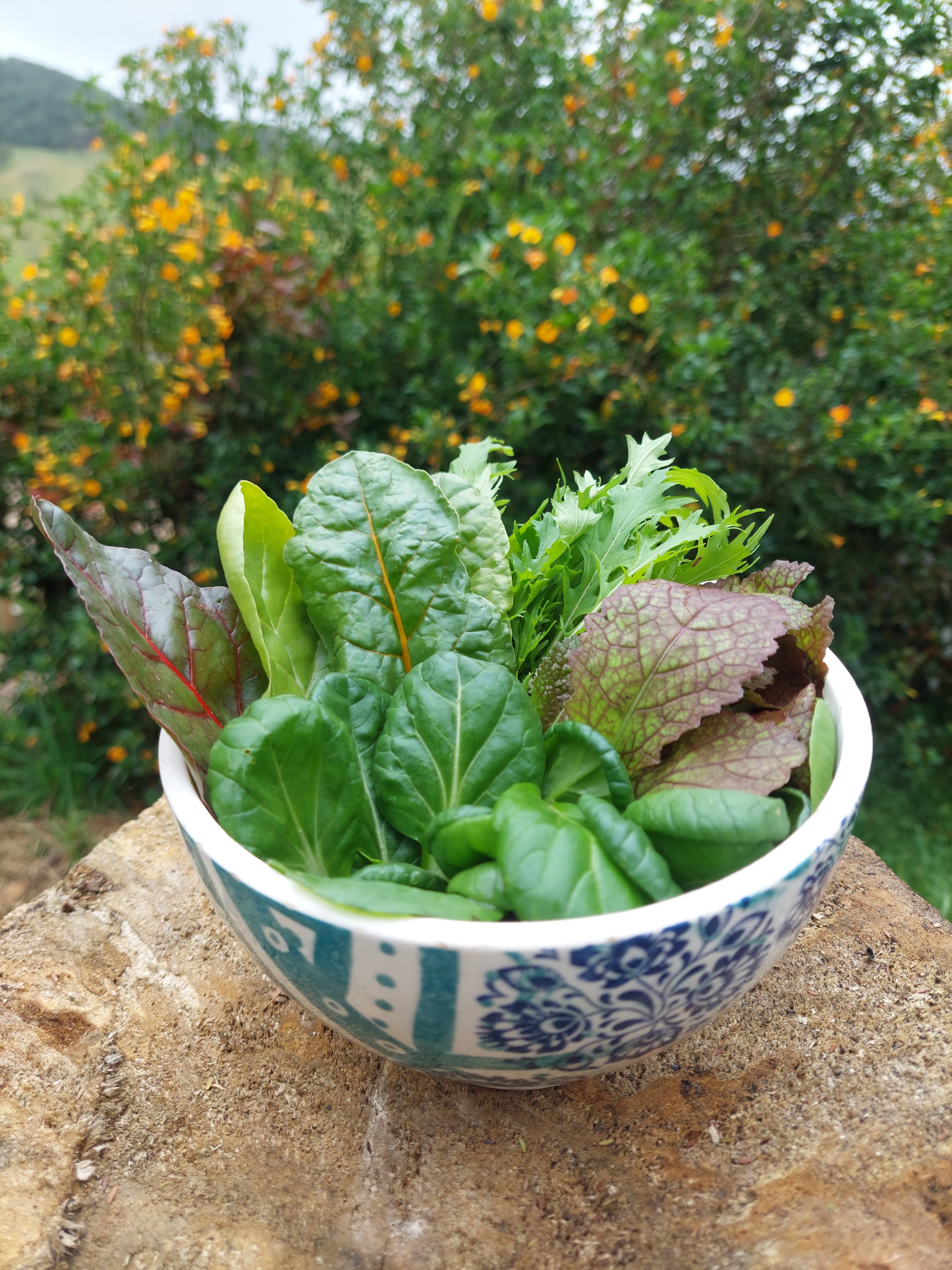 MIX ASIÁTICO BABY AGROECOLÓGICO - 100GR