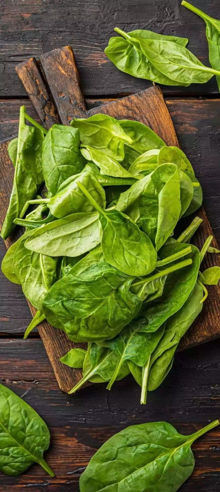 ESPINACA BABY AGROECOLÓGICA - 200gr