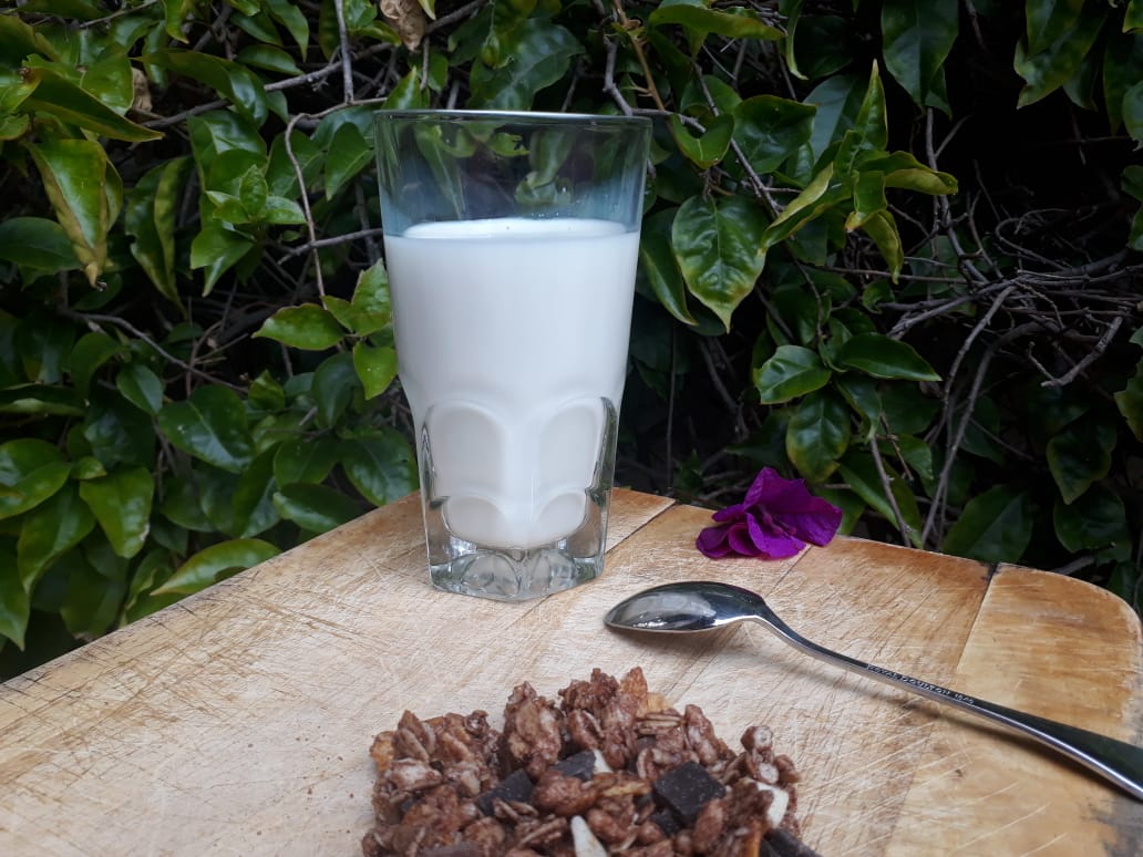 YOGUR NATURAL GARRAFA DE 1 L