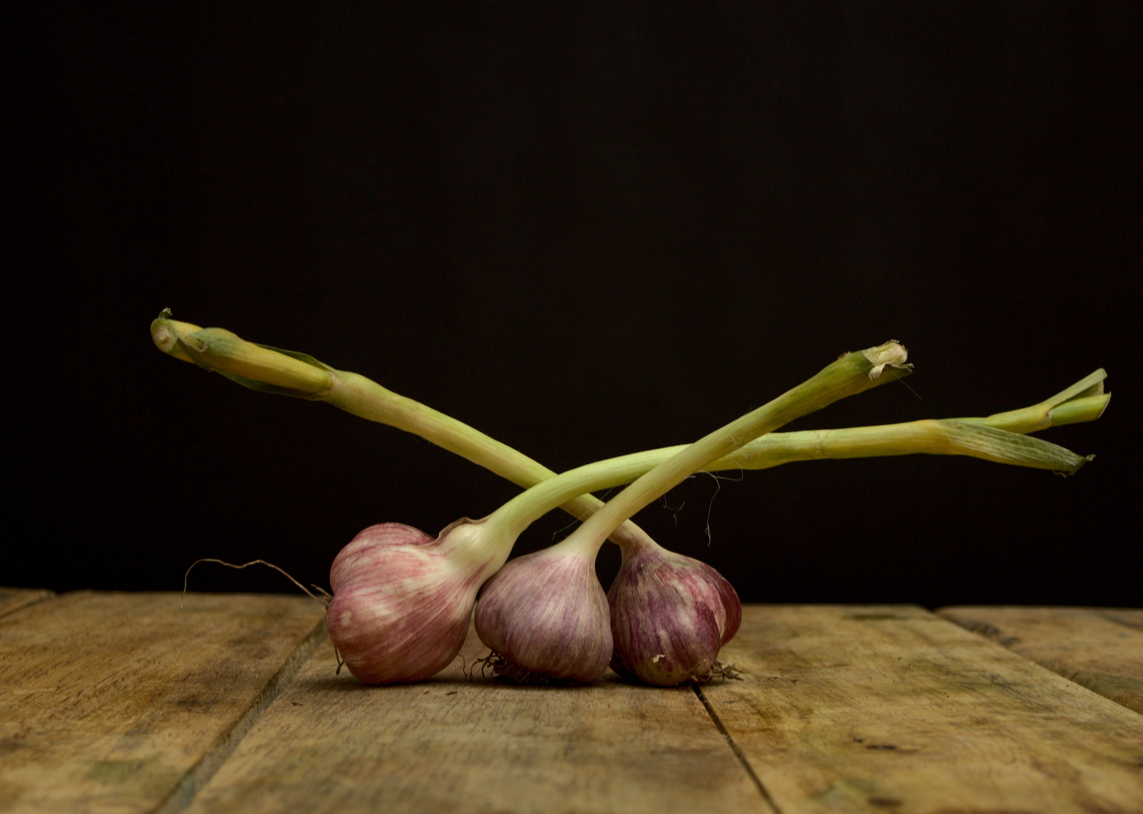 AJO CAMPESINO- unidad