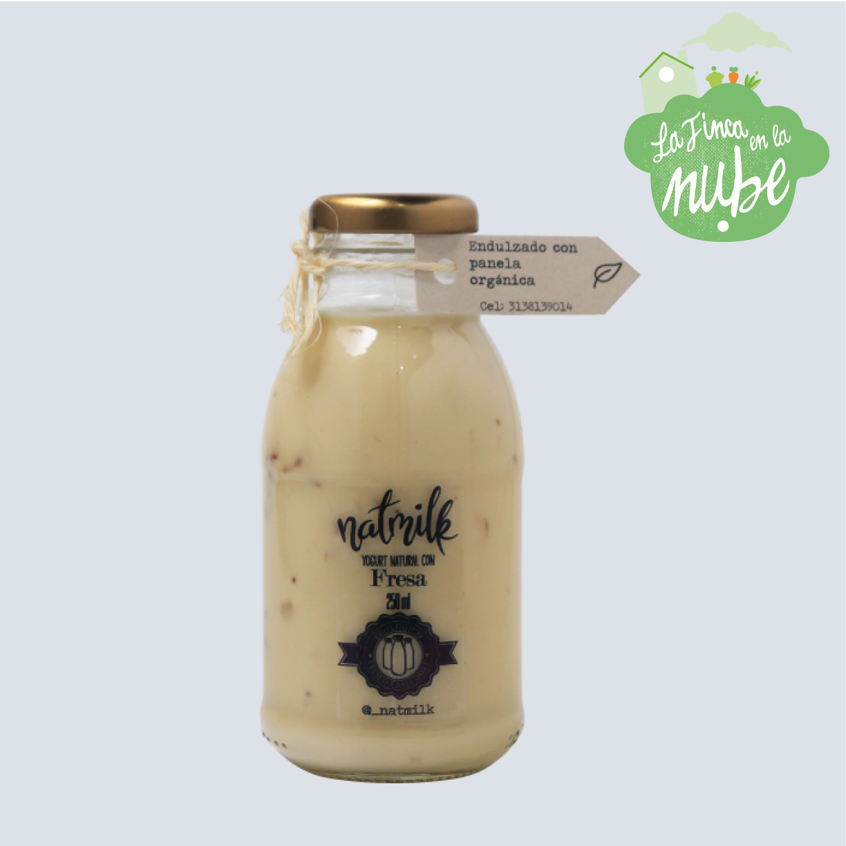 YOGUR NATURAL CON FRESA 250 mL