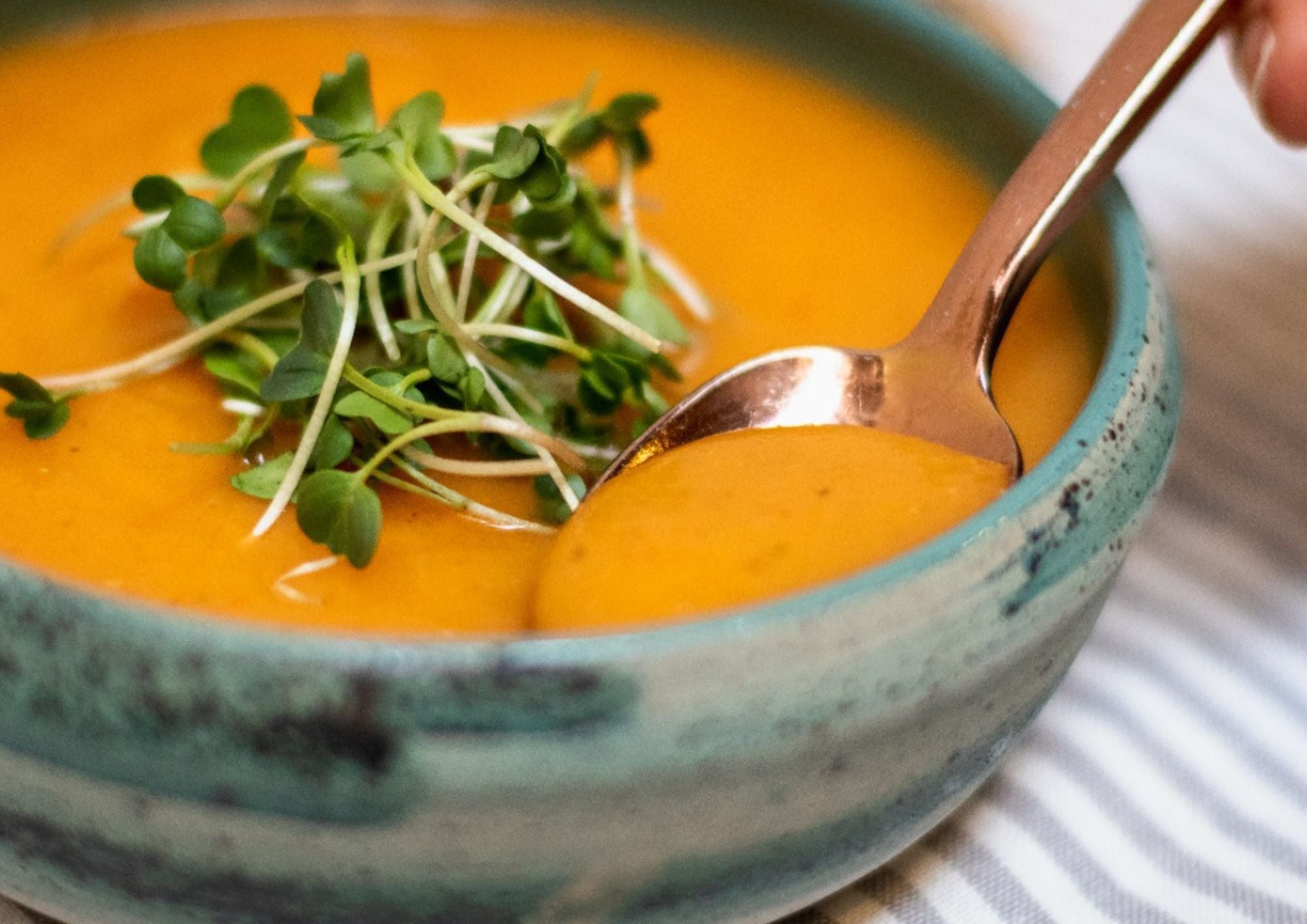 CREMA DE AHUYAMA - 1L