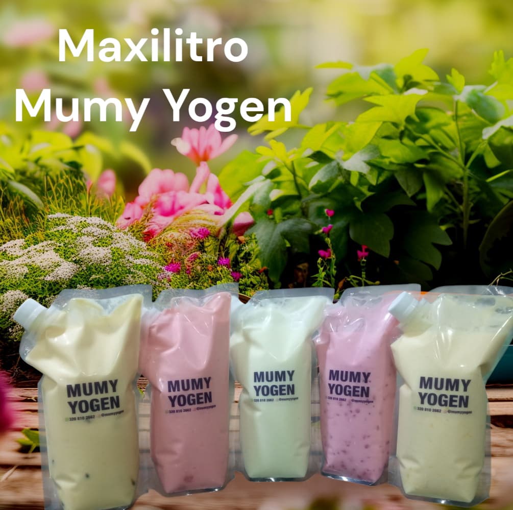 YOGUR BEBIBLE ARTESANAL - MAXILITRO 1200ml - Sabor CHOCOFRESA